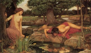 John William Waterhouse_1903_Echo and Narcissus.jpg